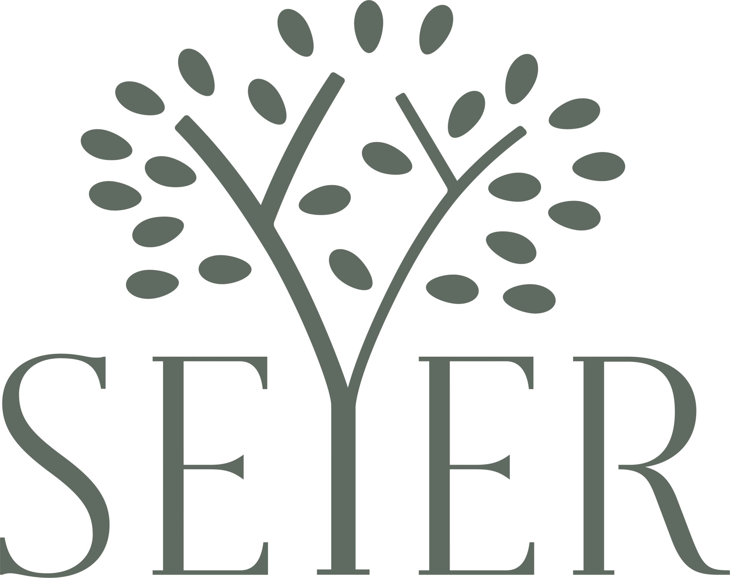 Seyer - 